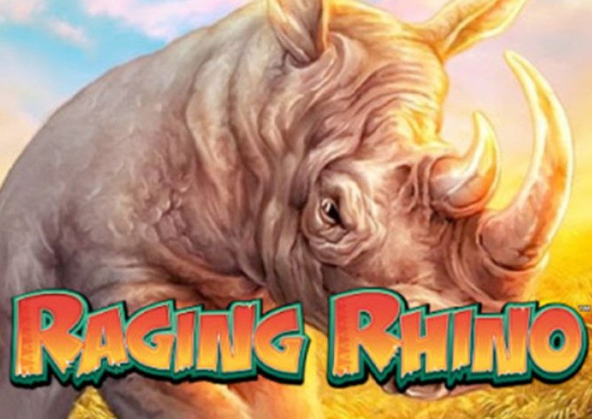 Raging Rhino slot 3