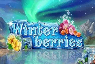 Winter Berries