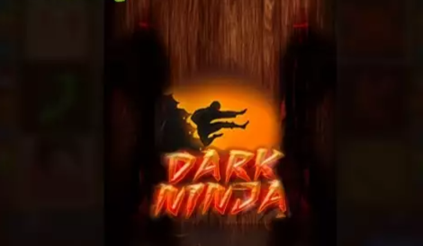 Dark Ninja