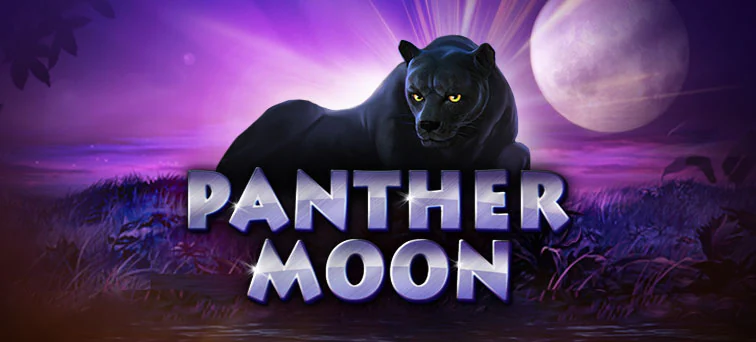 Panther Moon