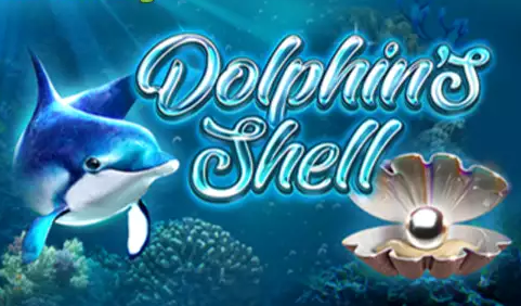 Dolphins Shell