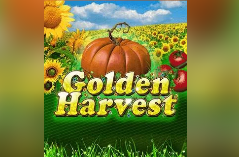 Golden Harvest