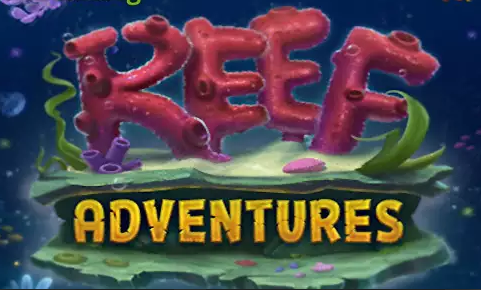 Reef Adventures