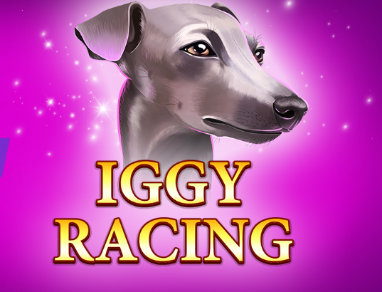 Iggy Racing