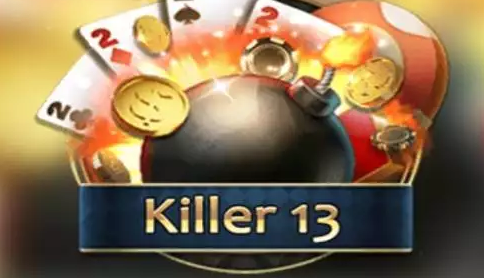 Killer 13