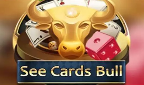 See Cards Bull KX